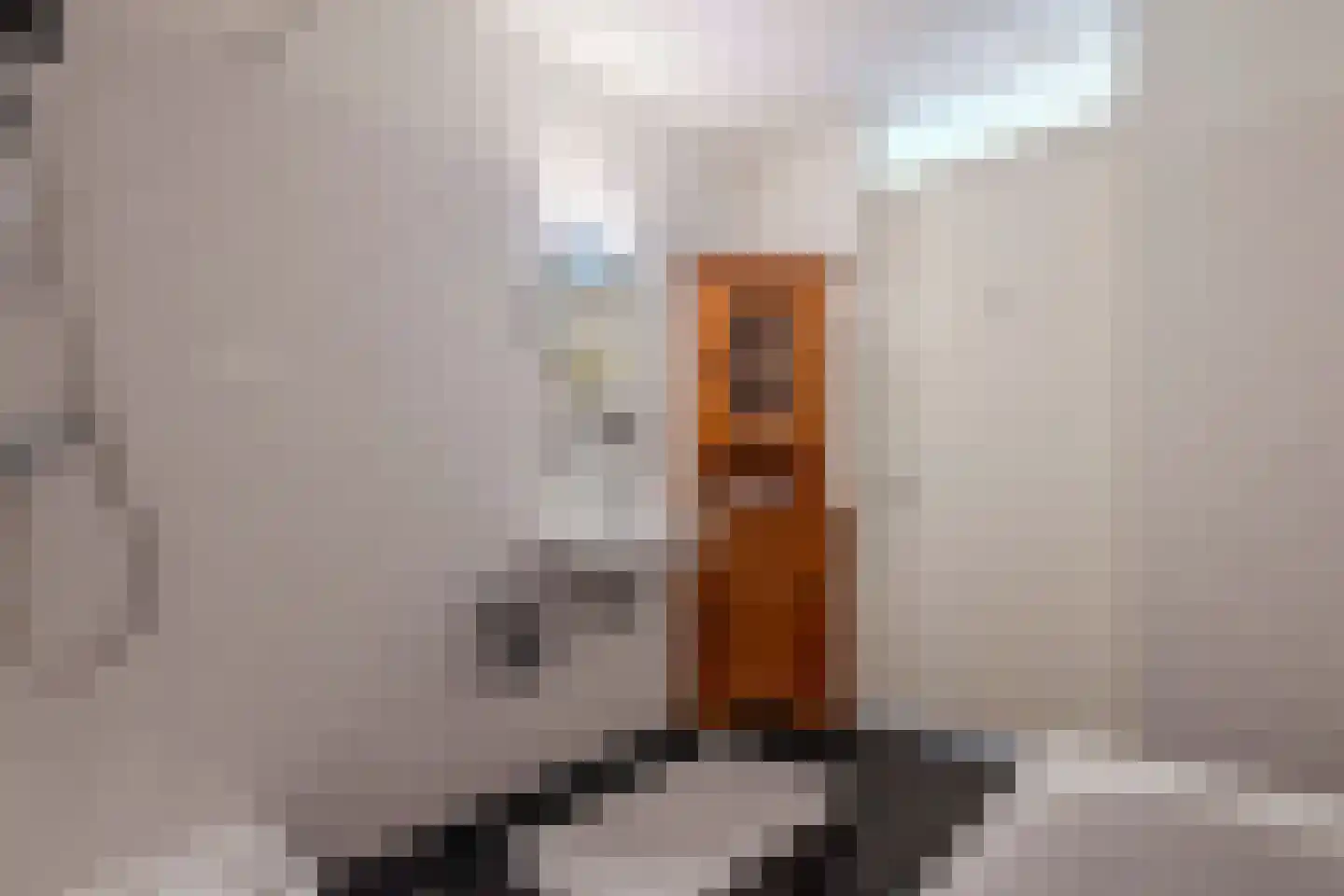 De Kranshof 94 Tiel thumbnail 35
