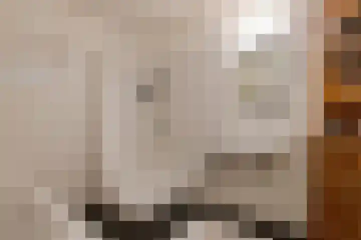 De Kranshof 94 Tiel thumbnail 36