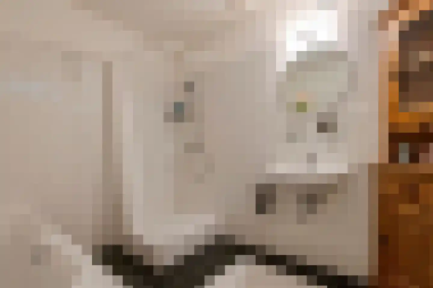 De Kranshof 94 Tiel thumbnail 36
