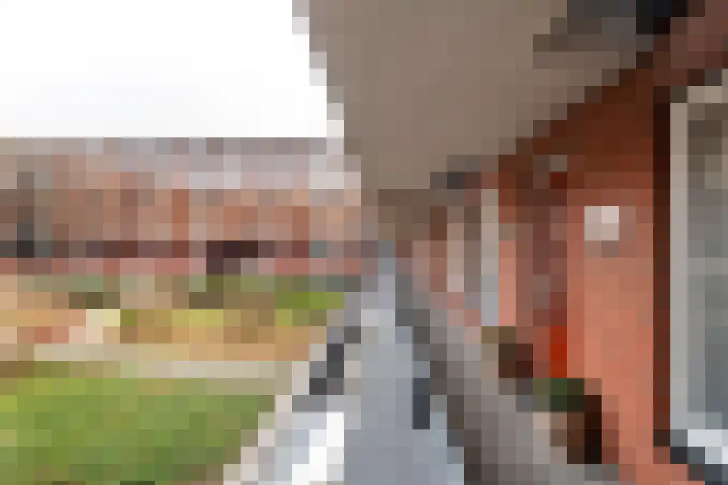 De Kranshof 94 Tiel thumbnail 37