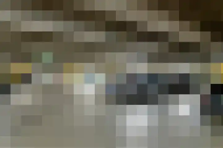 De Kranshof 94 Tiel thumbnail 38