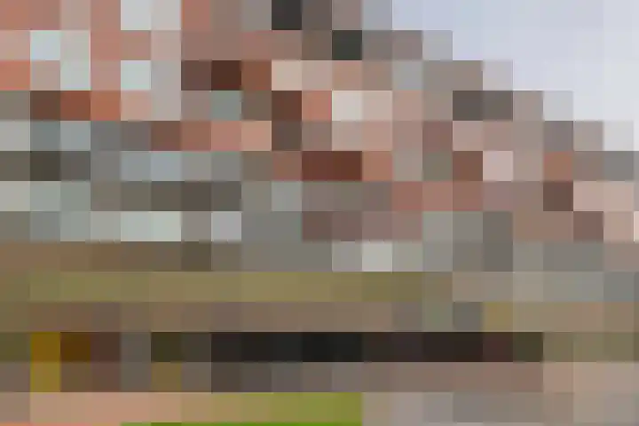 De Kranshof 94 Tiel thumbnail 4