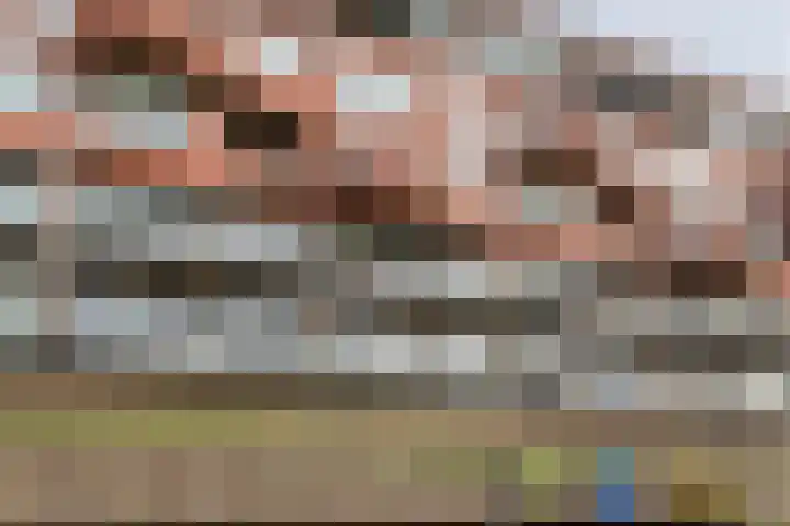 De Kranshof 94 Tiel thumbnail 5
