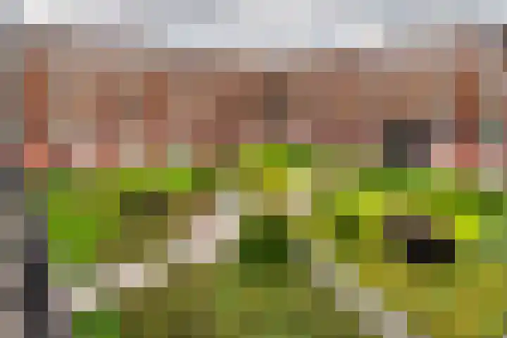 De Kranshof 94 Tiel thumbnail 8