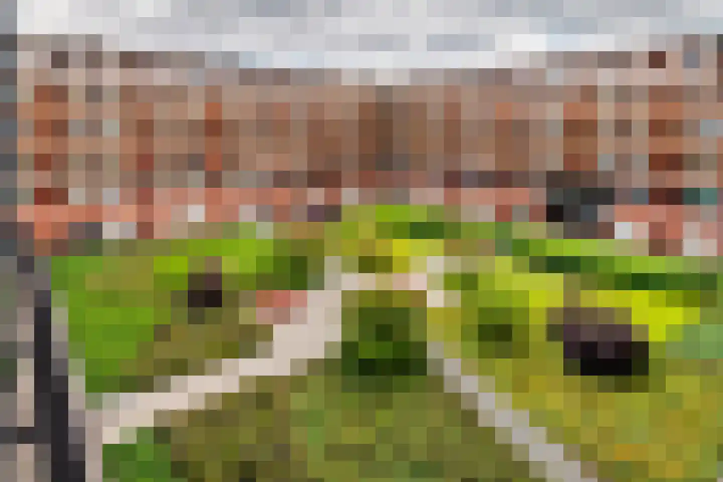 De Kranshof 94 Tiel thumbnail 8