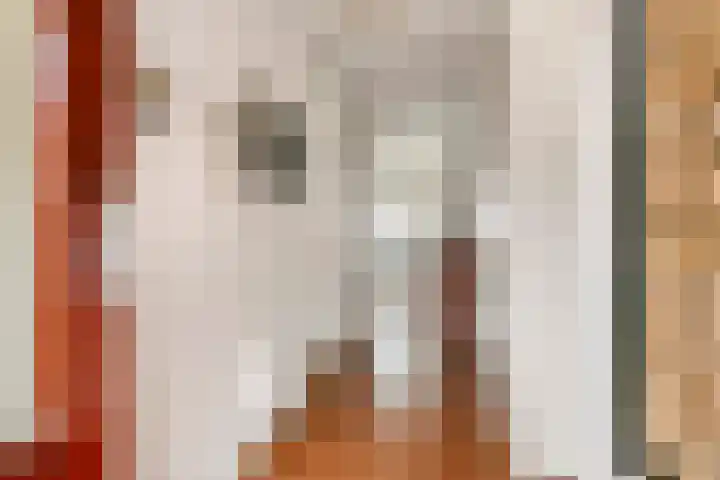 De Kranshof 94 Tiel thumbnail 9