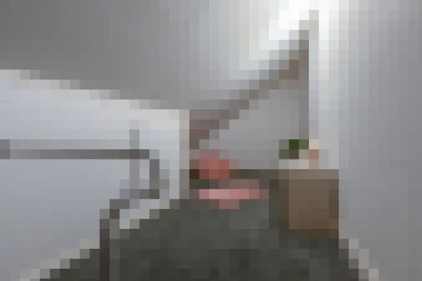 De Kranssen 16 Waalre thumbnail 19