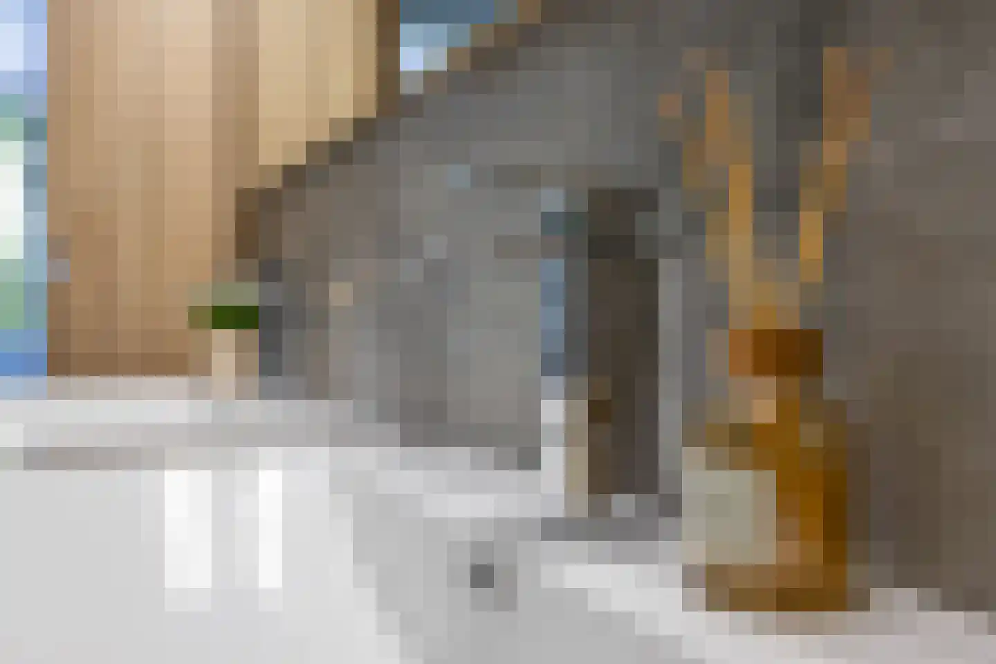 De Kranssen 16 Waalre thumbnail 31