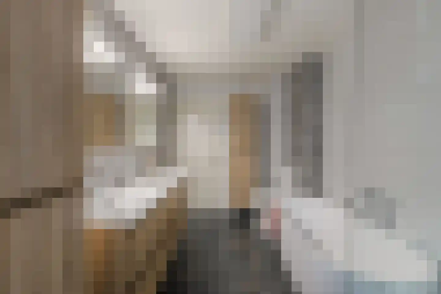 De Kranssen 16 Waalre thumbnail 32