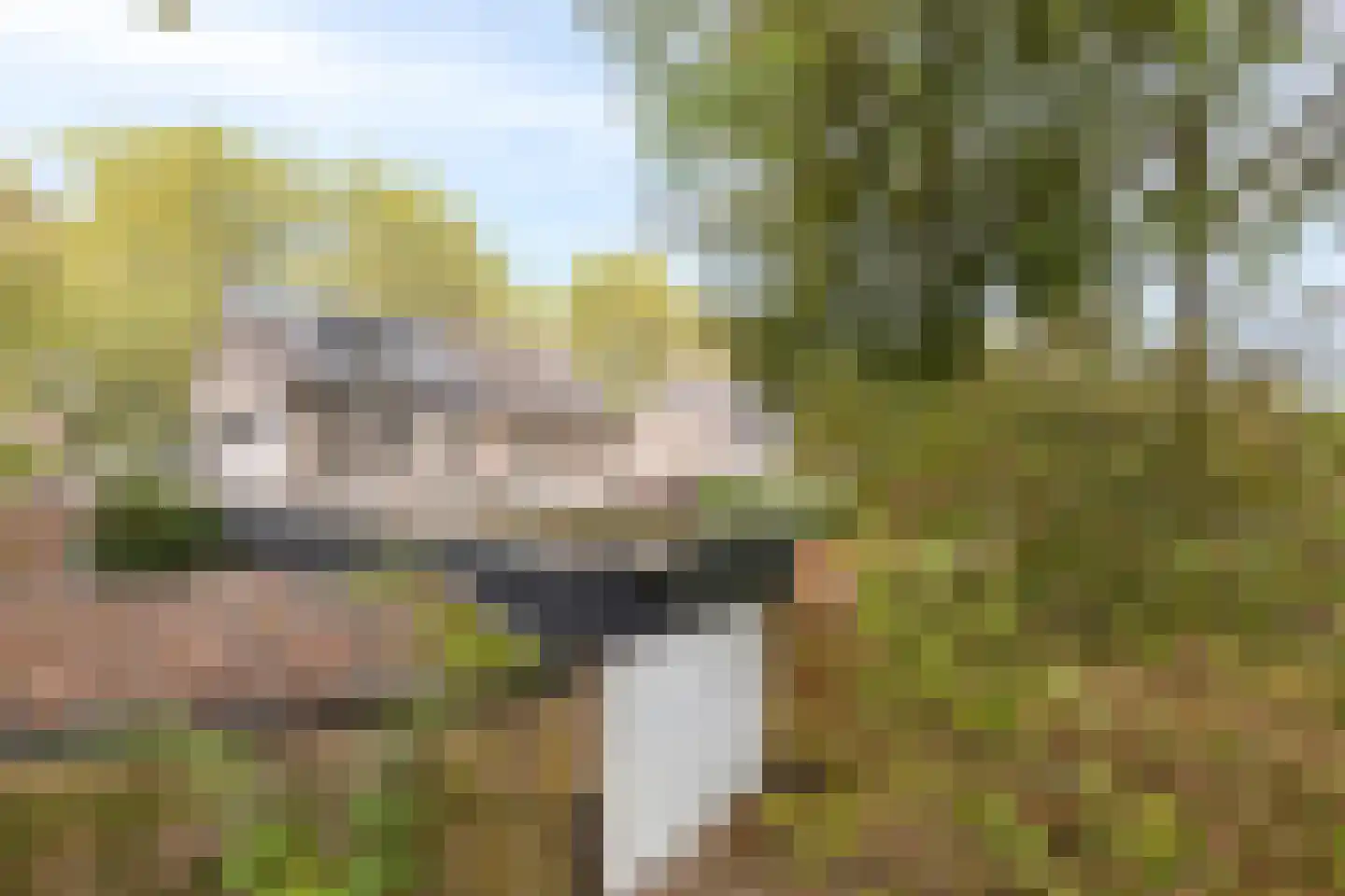 De Kranssen 16 Waalre thumbnail 42