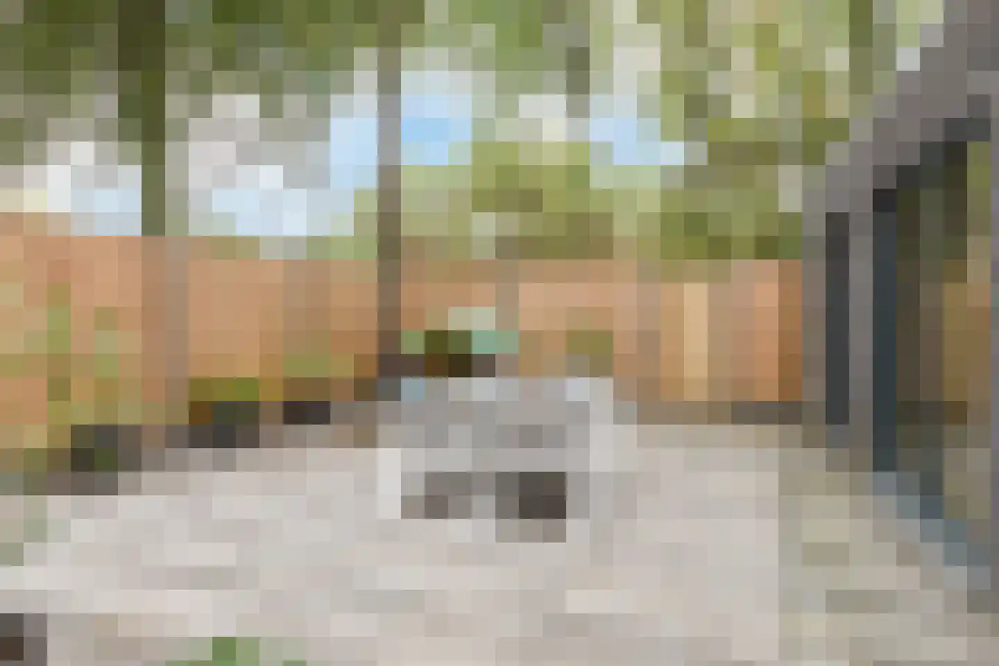 De Kranssen 16 Waalre thumbnail 43