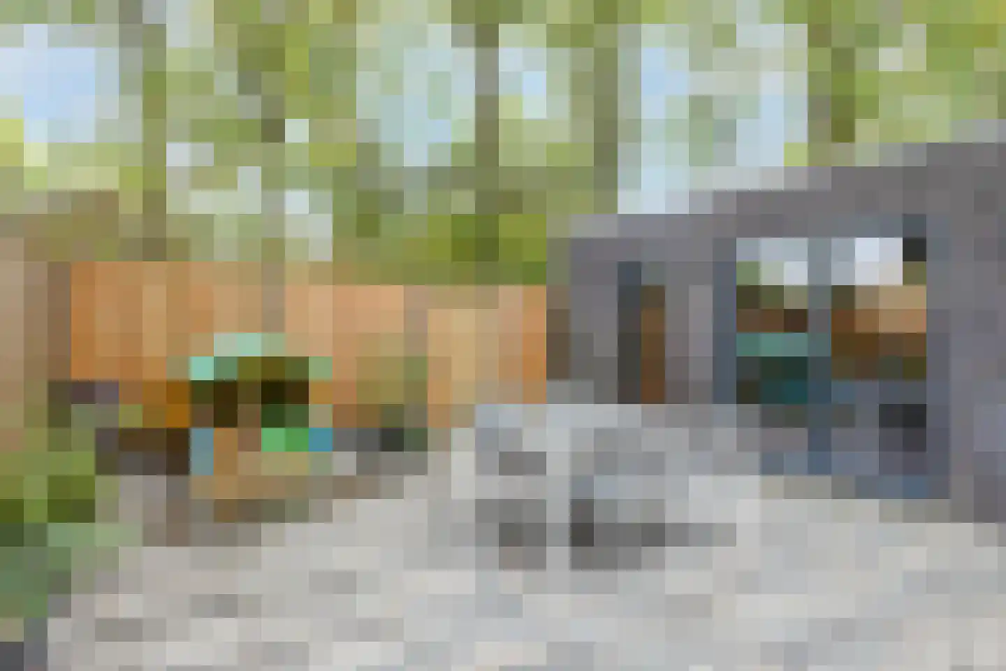De Kranssen 16 Waalre thumbnail 44