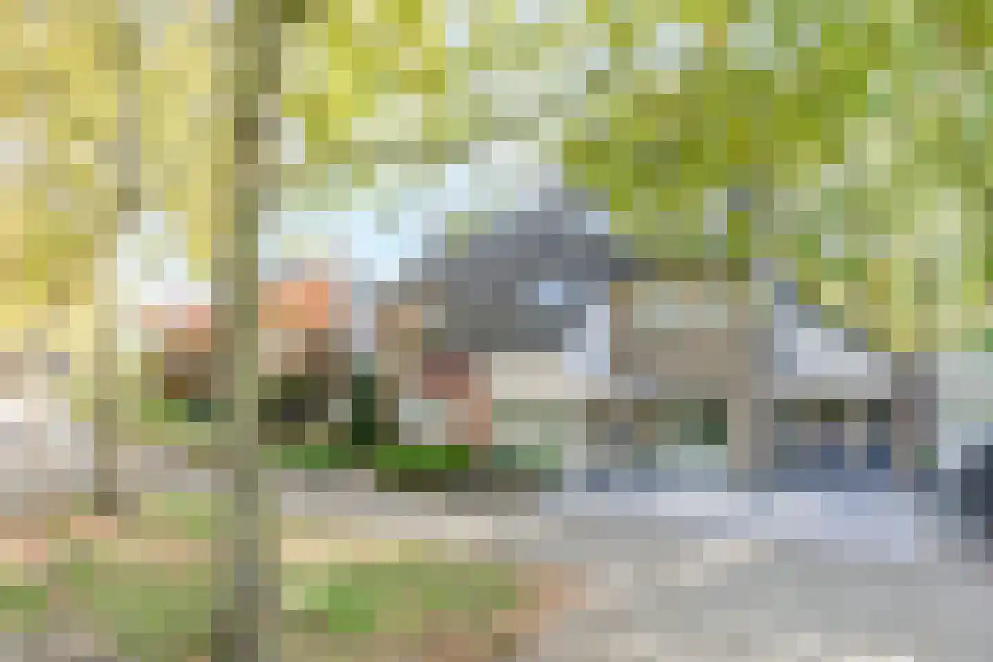 De Kranssen 16 Waalre thumbnail 45