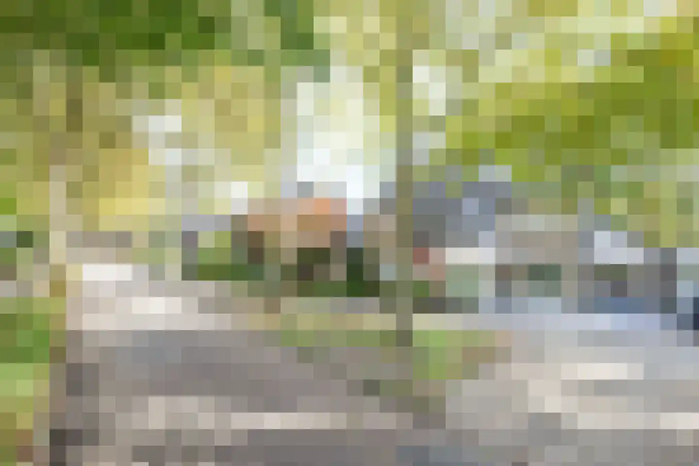 De Kranssen 16 Waalre thumbnail 46