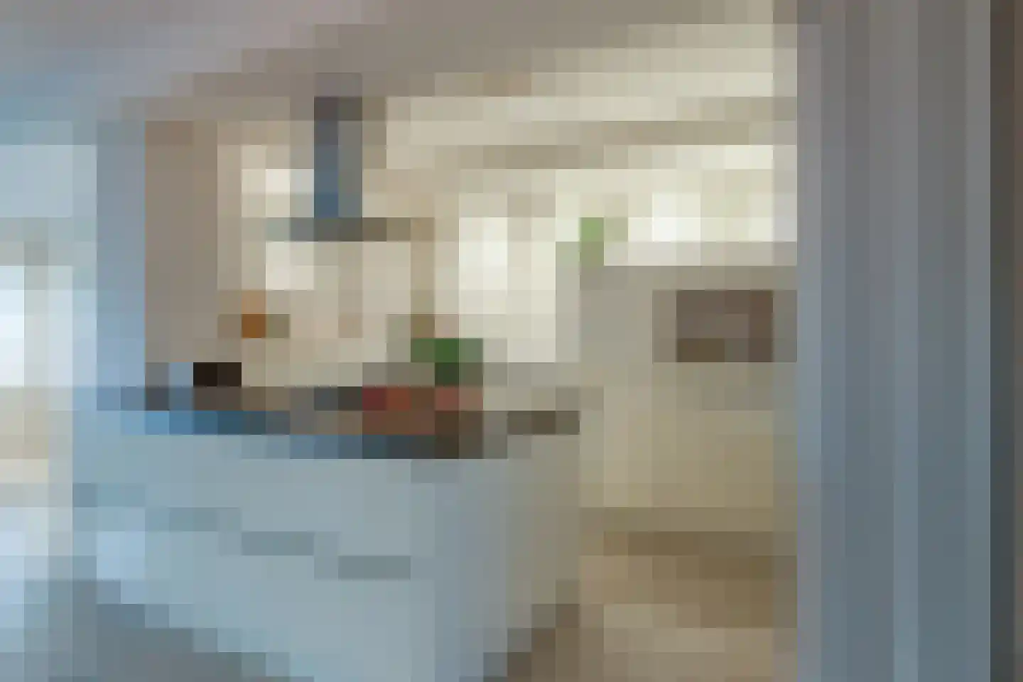 De Kranssen 16 Waalre thumbnail 7