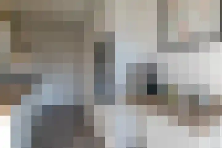 De Kranssen 21 Waalre thumbnail 14