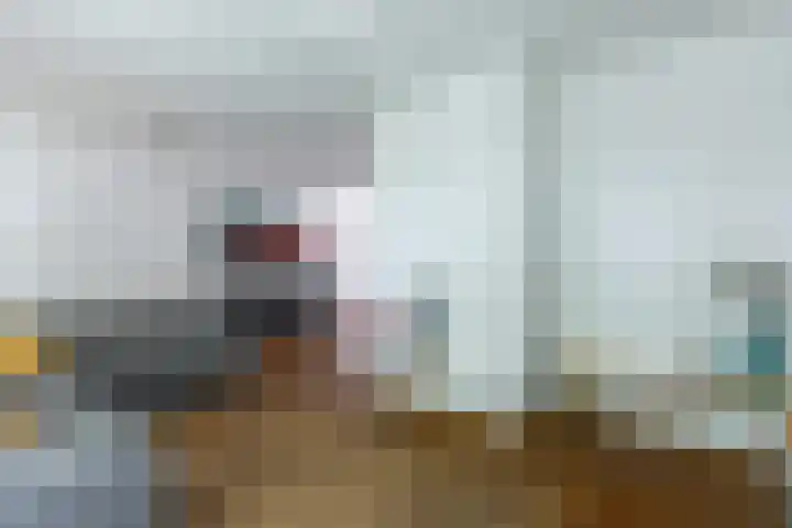 De Kranssen 25 Waalre thumbnail 13