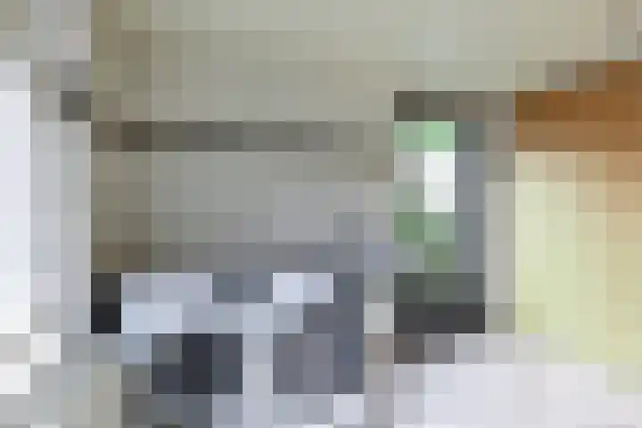 De Kranssen 25 Waalre thumbnail 17
