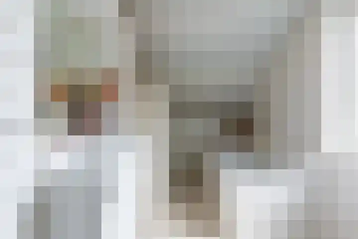 De Kranssen 25 Waalre thumbnail 22