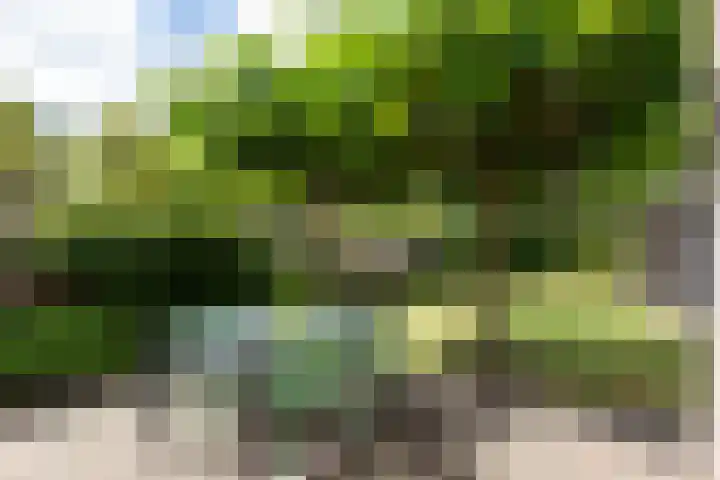 De Kranssen 25 Waalre thumbnail 32