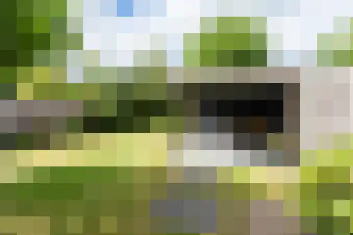 De Kranssen 25 Waalre thumbnail 33