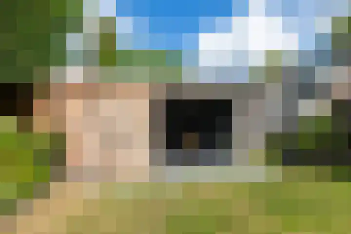 De Kranssen 25 Waalre thumbnail 34