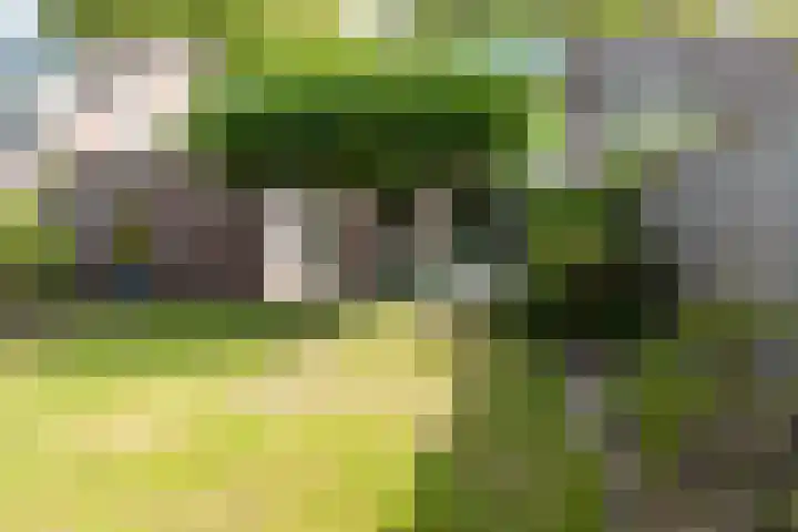 De Kranssen 25 Waalre thumbnail 35