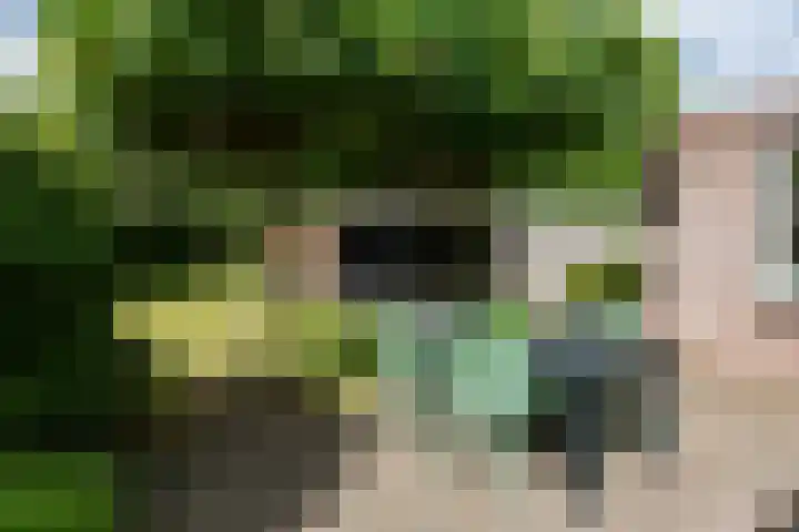 De Kranssen 25 Waalre thumbnail 4