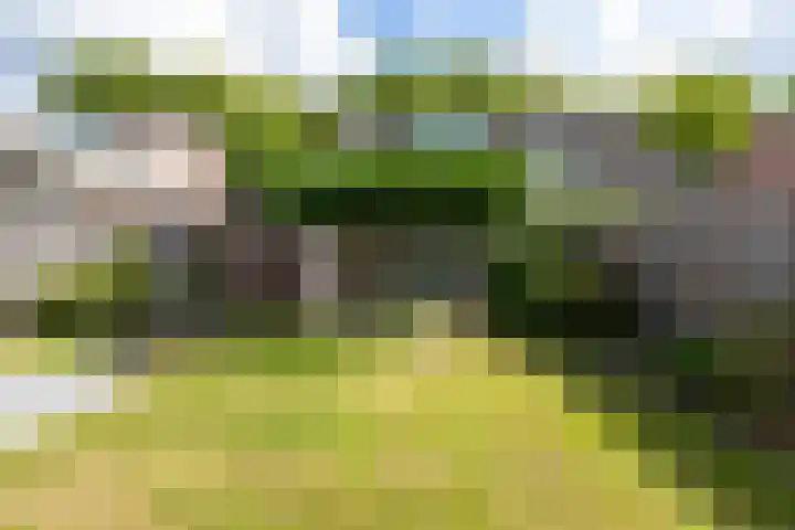 De Kranssen 25 Waalre thumbnail 5