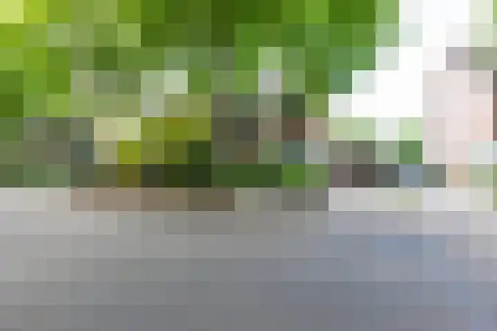 De Kranssen 25 Waalre thumbnail 6