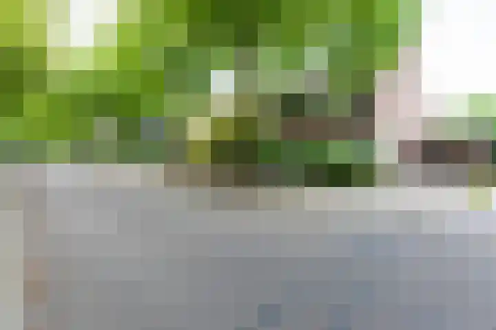 De Kranssen 25 Waalre thumbnail 7