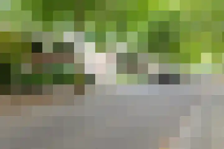 De Kranssen 25 Waalre thumbnail 8