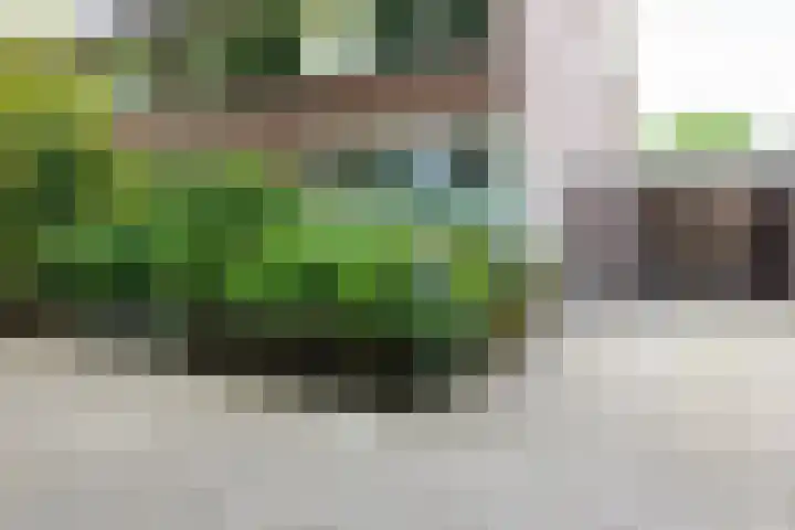 De Kranssen 25 Waalre thumbnail 9