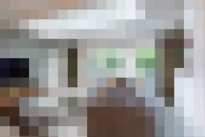 De Kranssen 44 Waalre thumbnail 20