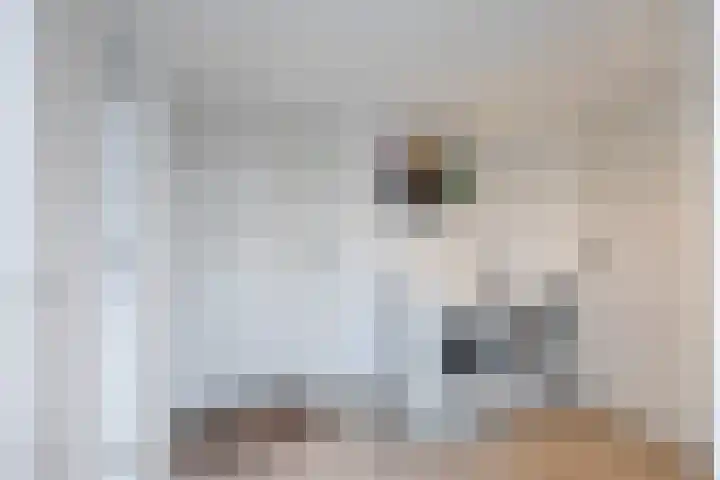 De Kranssen 44 Waalre thumbnail 23