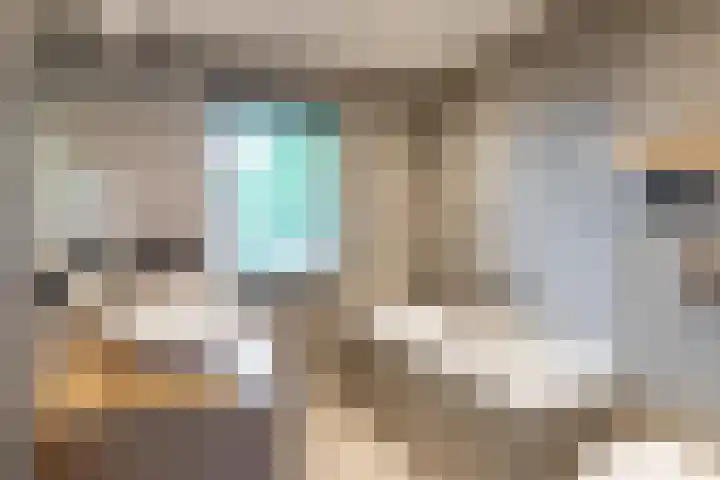 De Kranssen 44 Waalre thumbnail 28