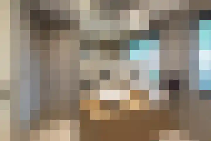 De Kranssen 44 Waalre thumbnail 30