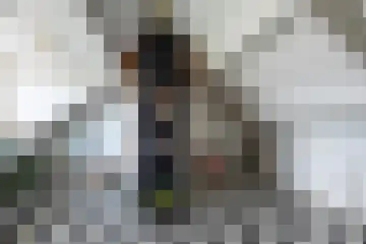De Kranssen 44 Waalre thumbnail 36