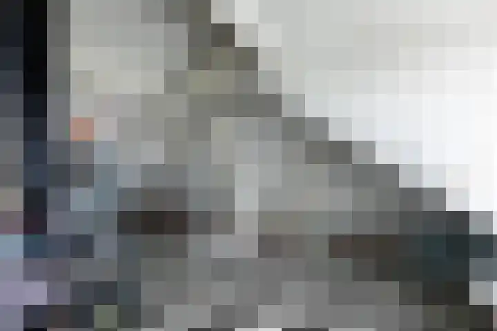 De Kranssen 44 Waalre thumbnail 37