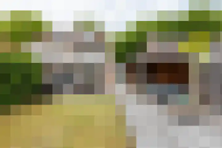 De Kranssen 44 Waalre thumbnail 38