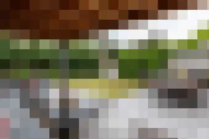 De Kranssen 44 Waalre thumbnail 39