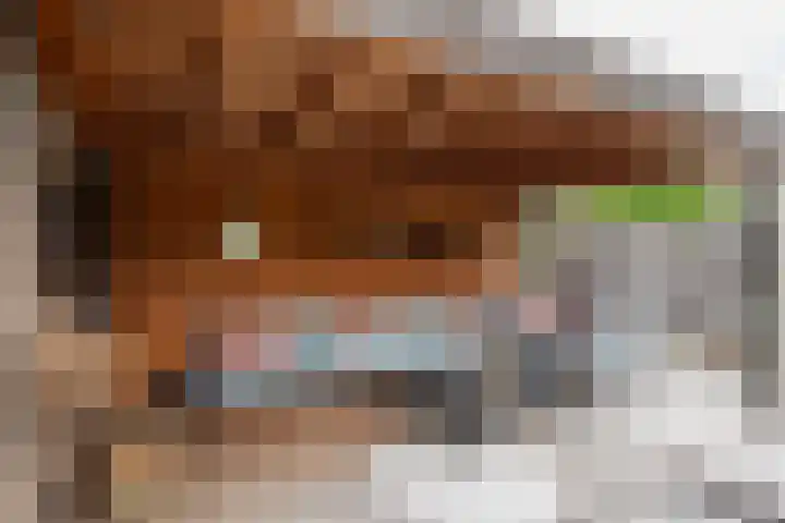 De Kranssen 44 Waalre thumbnail 40