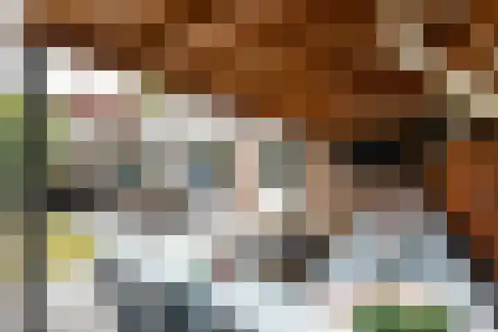 De Kranssen 44 Waalre thumbnail 42