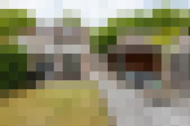 De Kranssen 44 Waalre thumbnail 46