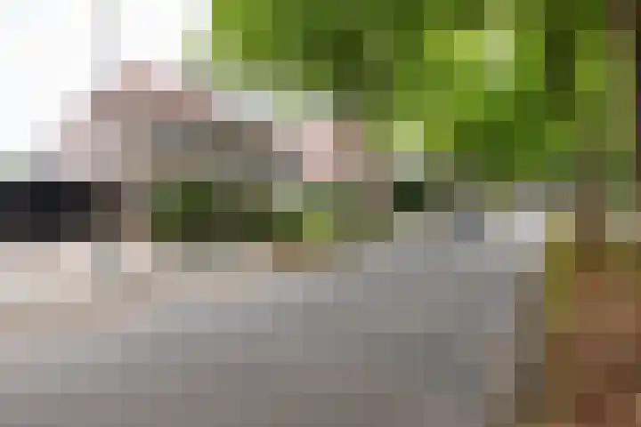 De Kranssen 44 Waalre thumbnail 47