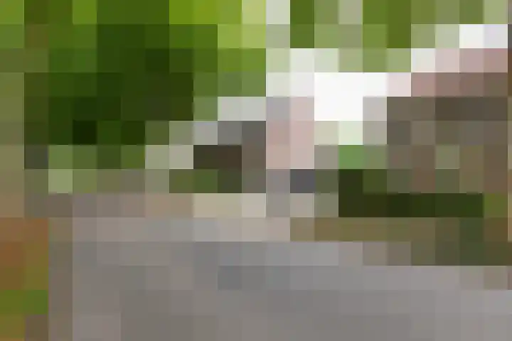De Kranssen 44 Waalre thumbnail 48