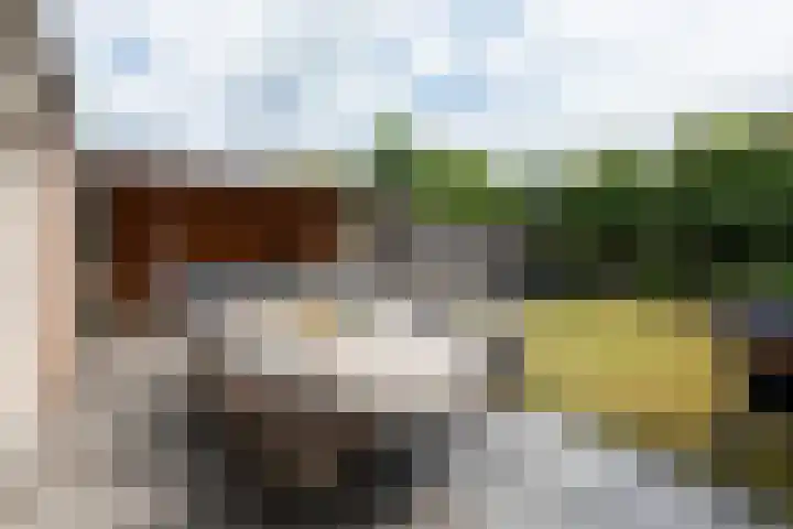 De Kranssen 44 Waalre thumbnail 5