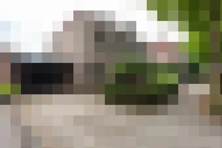 De Kranssen 44 Waalre thumbnail 7