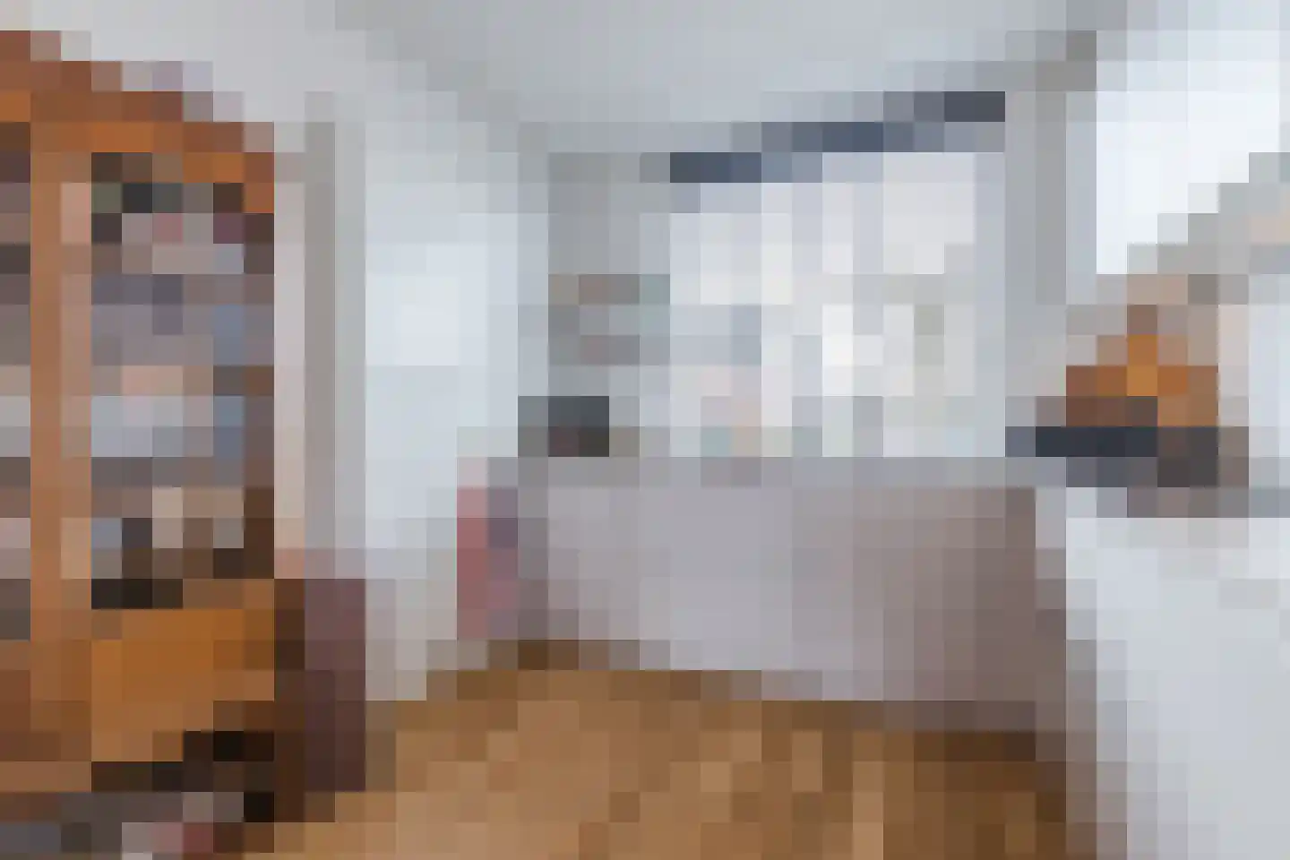 De Kreeck 22 Klundert thumbnail 14