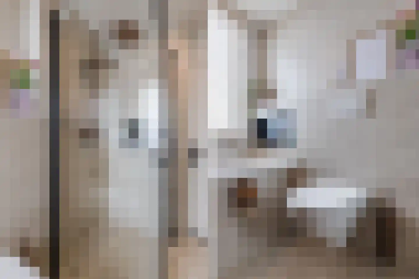 De Kreeck 22 Klundert thumbnail 30